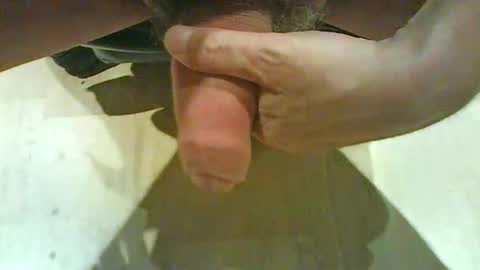 hammerhard1 stream preview