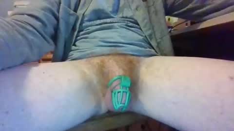 hansdieter13 stream preview