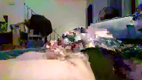 hardcockoncam22 stream preview