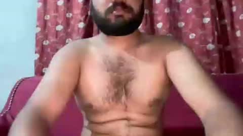 haybigcock stream preview