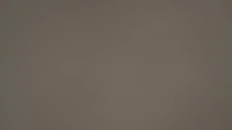 hellohowareyou66 stream preview