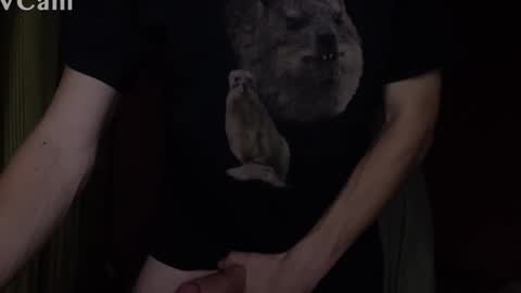 herewegoagain_xd live stream