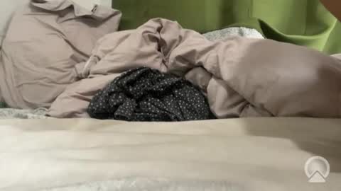 hisweetboy stream preview