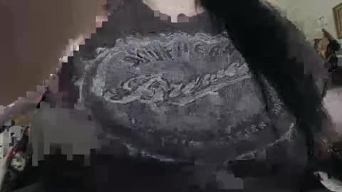 hollydeetz live stream