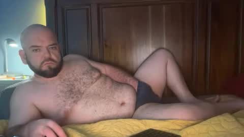 hornazzbear stream preview