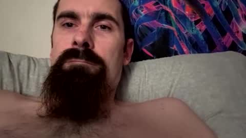 hornyweasle stream preview