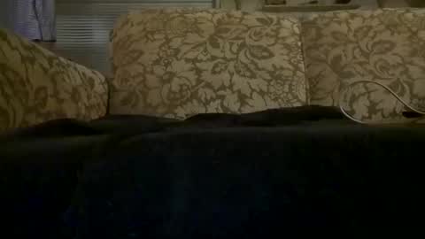 hot2nite22 stream preview