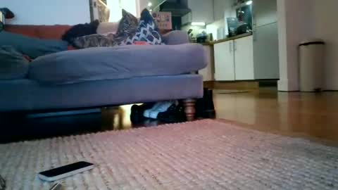 hot_couple_87 stream preview