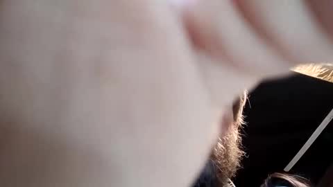 hotassroom stream preview