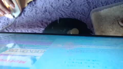 hotmorena_finger stream preview