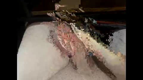 hung_mac0 live stream