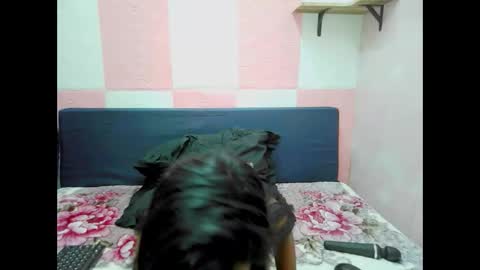 indiansexybtx stream preview