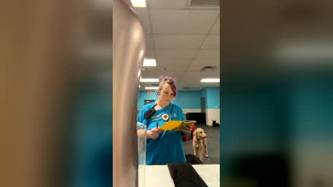 itsthatpalesiren stream preview