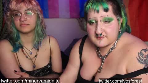 ivylustful stream preview