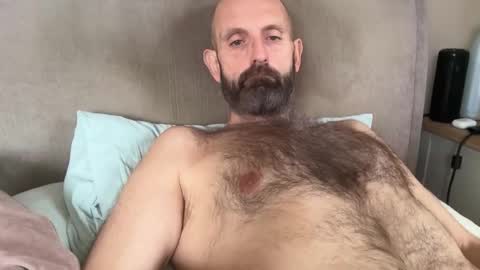 izzysboytoy1 stream preview