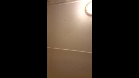 jacobrussell4201985 stream preview