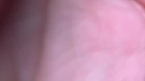 jayson66666666 live stream