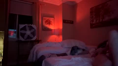 jcandolina live stream