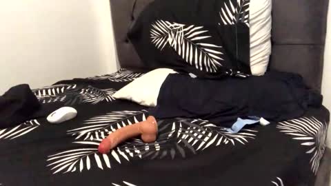 jehoels stream preview