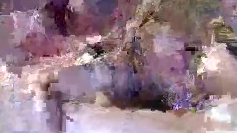 jessicaelaineseals stream preview