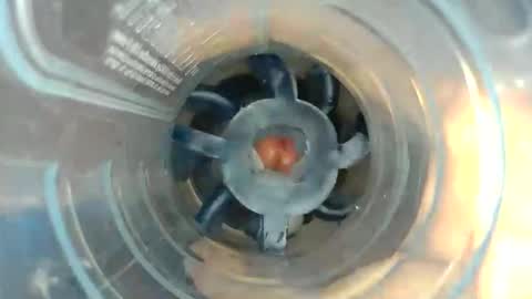 jkrubs665 live stream