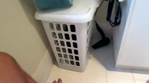 joebrick19 live stream