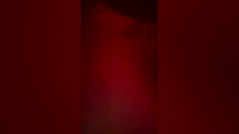 jp0283960 live stream