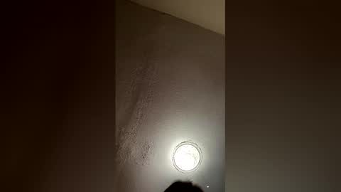 k8k8bella live stream