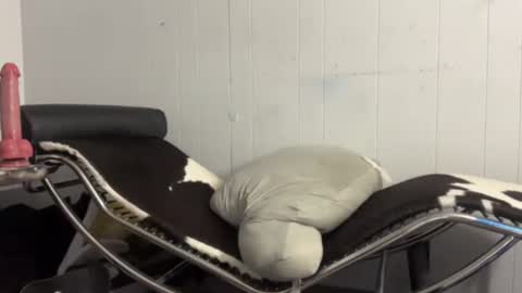 katrinakorona live stream