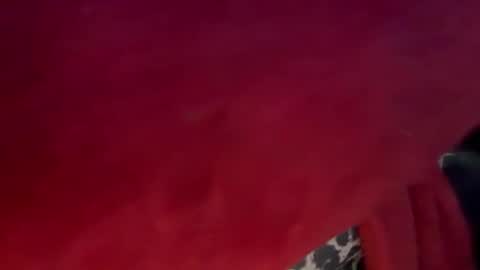 kayciee stream preview