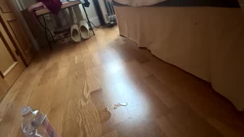 kerrikaverga69 stream preview