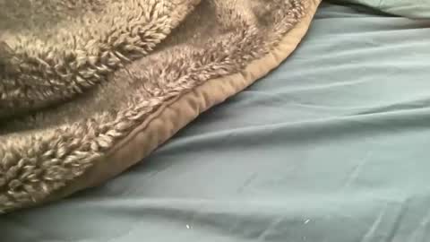 kirby2hoddy stream preview