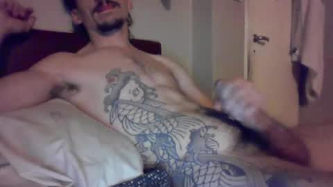 koidude stream preview