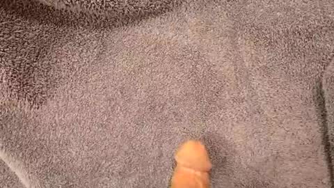 kram19869 live stream