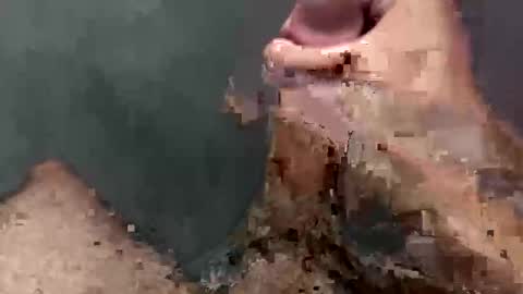 kwpspsvqj stream preview