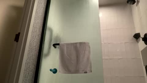 l3ftbeard stream preview