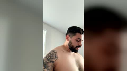 labrador16 stream preview