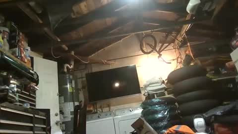 lady420777 stream preview