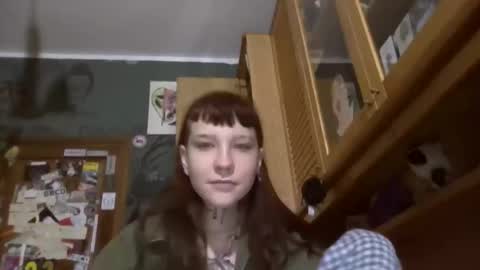 lappo2345 stream preview