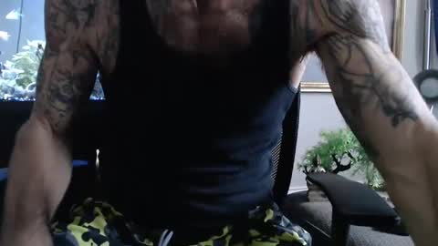 latinlover513 stream preview