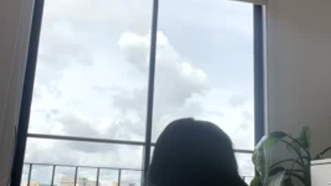 lau319414 stream preview