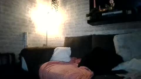 letsbendover stream preview