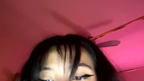 lexiibearr stream preview