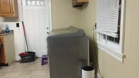 lilly_adams88 stream preview