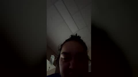 lily2fly live stream