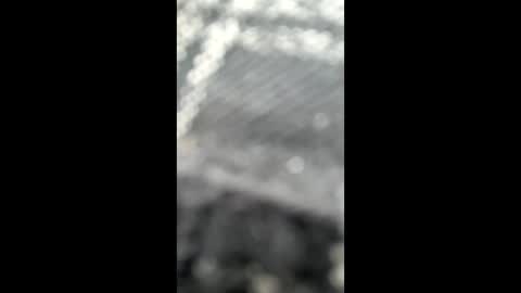 live2plzya stream preview