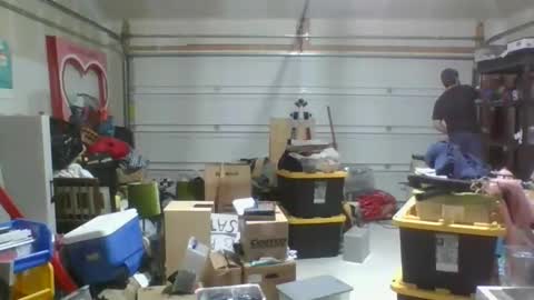 llzonall live stream