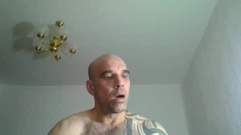 lolotatto live stream