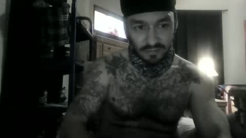 lostcause1313 stream preview