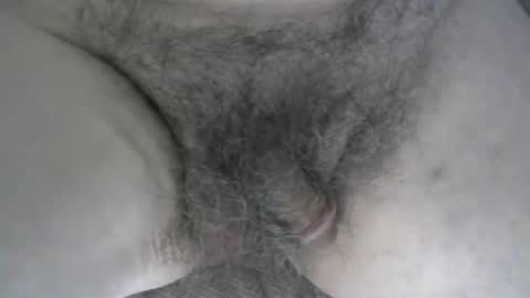 loveabush49 live stream